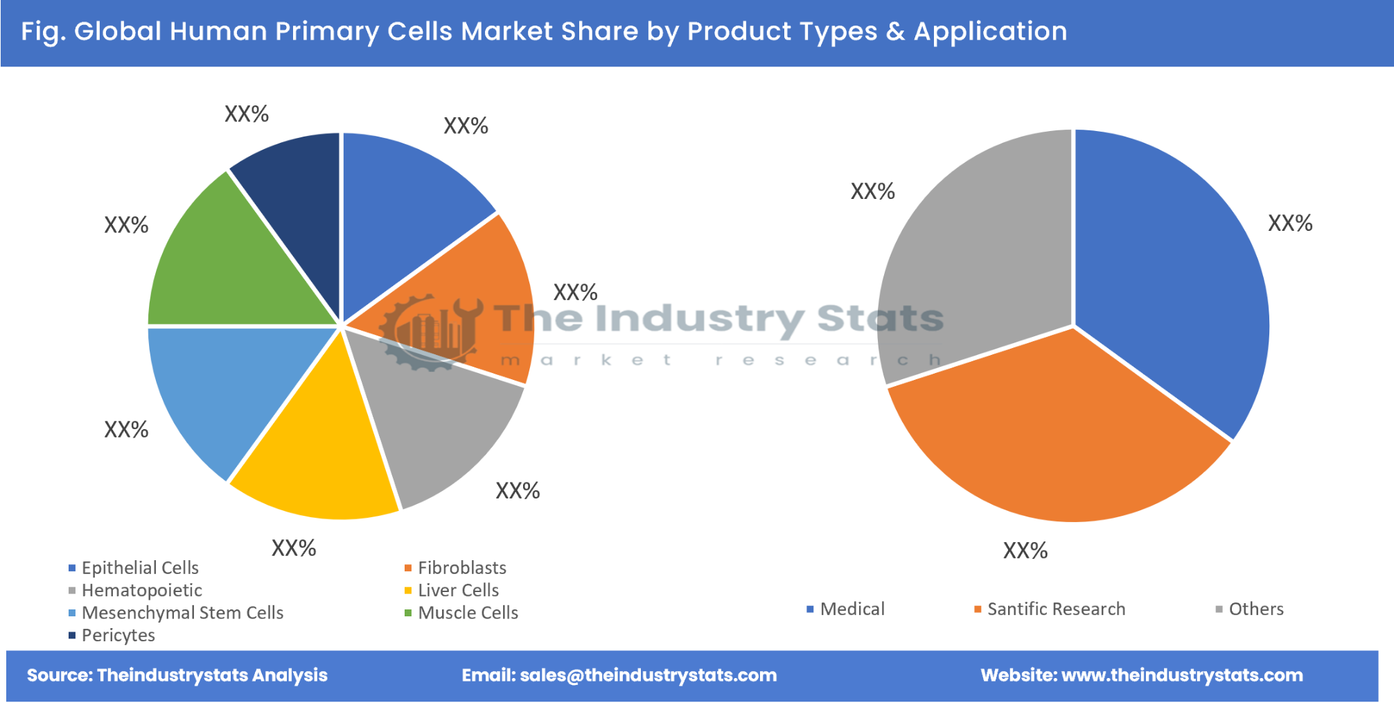 Human Primary Cells Share by Product Types & Application